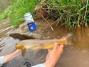 Mossy Creek Fly Fishing Forecast 5/31/2021