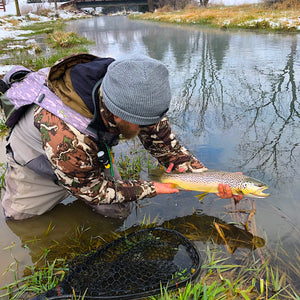 Mossy Creek Fly Fishing Forecast 12/31/20