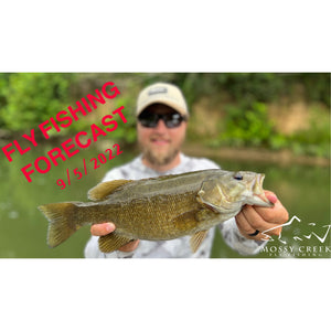 Mossy Creek Fly Fishing Forecast 9/5/2022