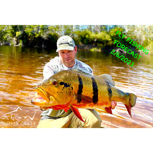 Mossy Creek Fly Fishing Forecast 2/6/2024