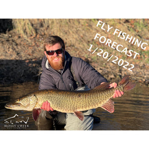 Mossy Creek Fly Fishing Forecast 1/10/2022