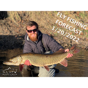 Mossy Creek Fly Fishing Forecast 1/10/2022