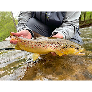 Mossy Creek Fly Fishing Forecast 6/21/2021