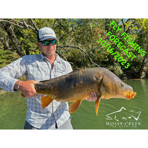 Mossy Creek Fly Fishing Forecast 10/16/2023