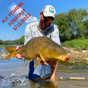 Mossy Creek Fly Fishing Forecast 9/13/2022