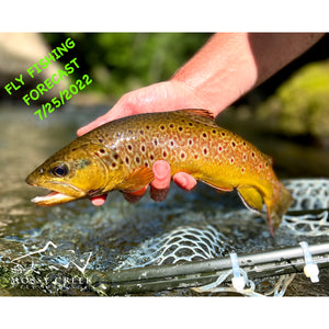 Mossy Creek Fly Fishing Forecast 7/25/2022