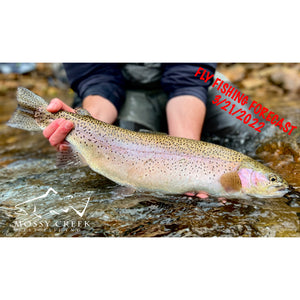Mossy Creek Fly Fishing Forecast 3/21/2022