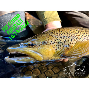 Mossy Creek Fly Fishing Forecast 10/18/2022