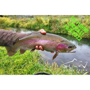 Mossy Creek Fly Fishing Forecast 10/3/2022