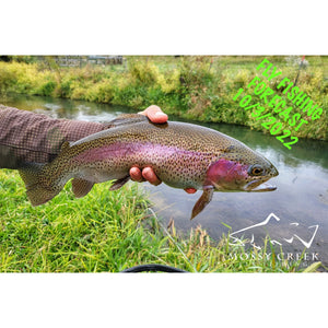 Mossy Creek Fly Fishing Forecast 10/3/2022