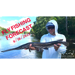 Mossy Creek Fly Fishing Forecast 8/10/2022
