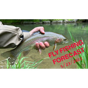 Mossy Creek Fly Fishing Forecast 5/23/2022