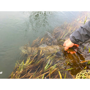 Mossy Creek Fly Fishing Forecast 12/21/20