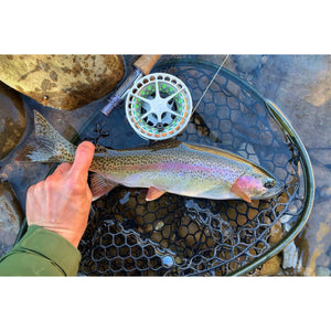 Mossy Creek Fly Fishing Forecast 1/25/2021