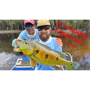 Mossy Creek Fly Fishing Forecast 1/22/2024