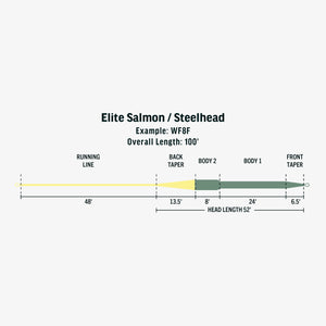 Rio Elite Salmon/Steelhead Fly Line - Mossy Creek Fly Fishing