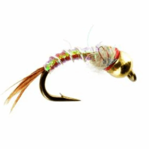 Rainbow Warrior Beadhead, bead head nymph by North Country Flies