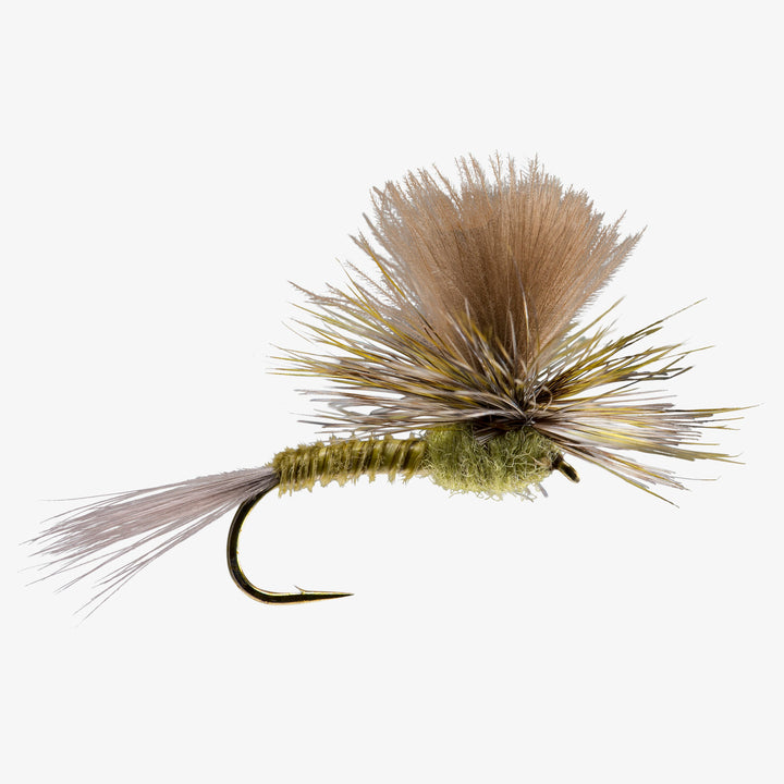RIO Green Drake Parachute dry fly with quill body and CDC parachute post