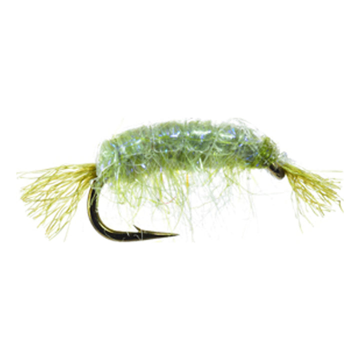 Umpqua Dorsey's UV Scud Olive nymph with UV body and shellback