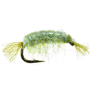Dorsey's UV Scud Olive - Mossy Creek Fly Fishing