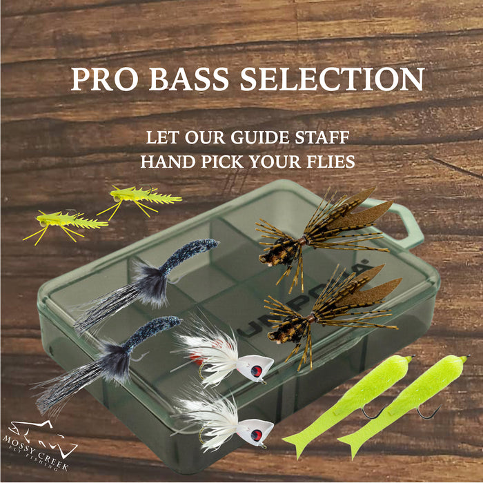 Bass Fly Selection