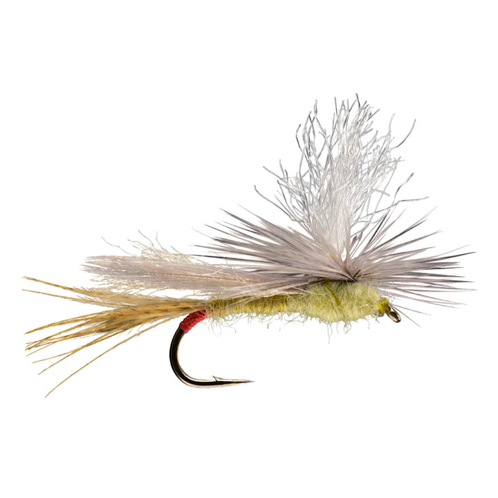 RIO Parachute Yellow Sally, Yellow Sally stonefly dry with parachute hackle and red egg sack