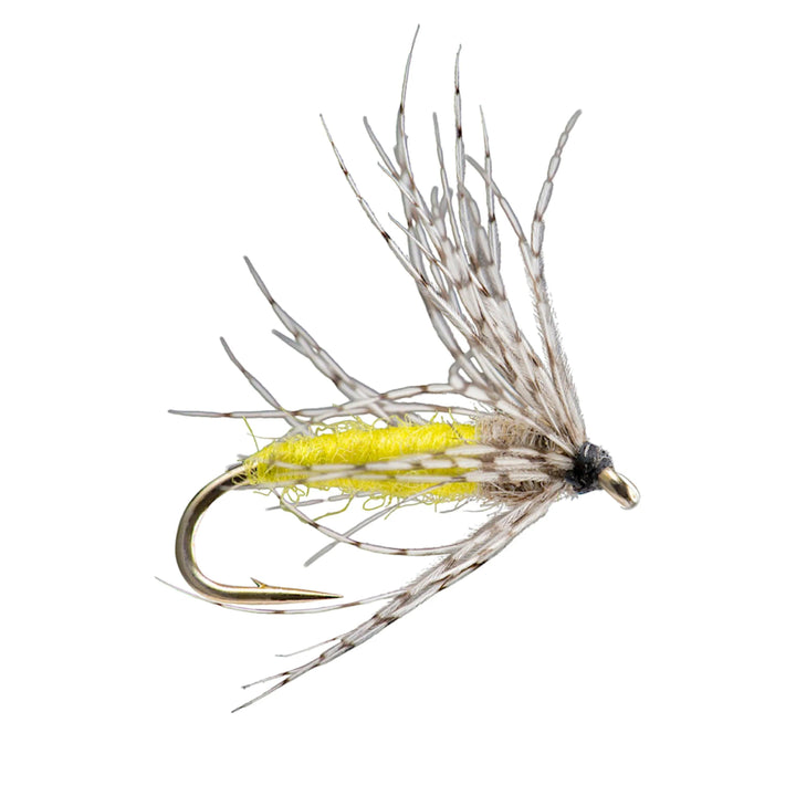 RIO Partridge Soft Hackle Yellow nymph with dubbed body and partridge hackle collar