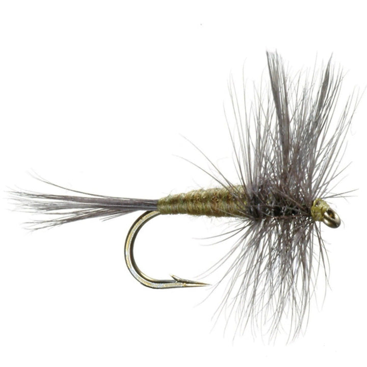 Umpqua Blue Wing Olive dry fly with olive body and dun wings