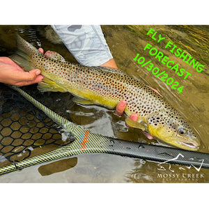 Mossy Creek Fly Fishing Forecast 10/30/2024