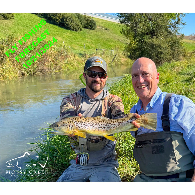 Mossy Creek Fly Fishing Forecast 10/21/2024 Mossy Creek Fly Fishing