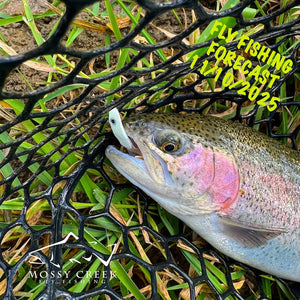 Mossy Creek Fly Fishing Forecast 11/10/2025