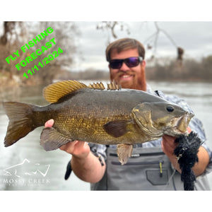 Mossy Creek Fly Fishing Forecast 11/11/2024