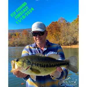 Mossy Creek Fly Fishing Forecast 11/18/2024