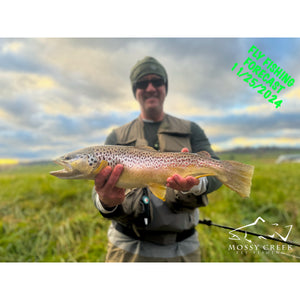 Mossy Creek Fly Fishing Forecast 11/25/2024