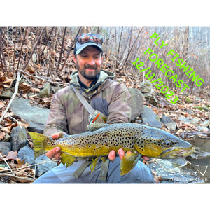 Mossy Creek Fly Fishing Forecast 12/11/2023