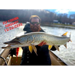 Mossy Creek Fly Fishing Forecast 12/22/2025