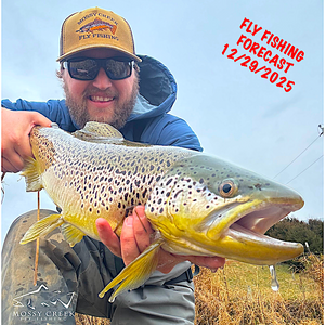 Mossy Creek Fly Fishing Forecast 12/29/2025
