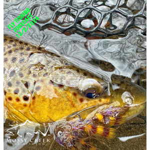 Mossy Creek Fly Fishing Forecast 12/2/2024