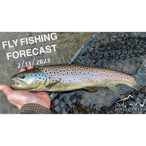 Mossy Creek Fly Fishing Forecast 2/13/2023