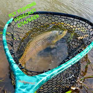 Mossy Creek Fly Fishing Forecast 2/16/2026
