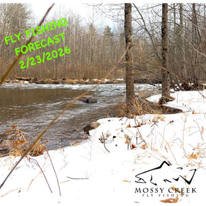 Mossy Creek Fly Fishing Forecast 2/23/2026
