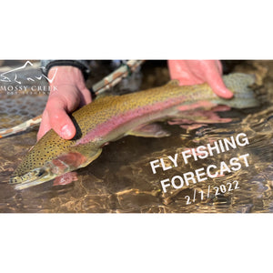 Mossy Creek Fly Fishing Forecast 2/7/2022