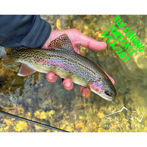 Mossy Creek Fly Fishing Forecast 3/13/2023