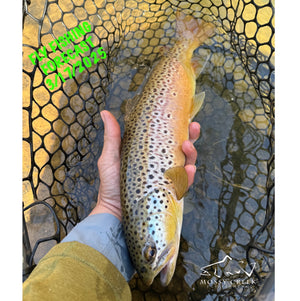 Mossy Creek Fly Fishing Forecast 3/17/2025