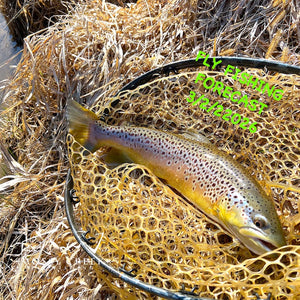 Mossy Creek Fly Fishing Forecast 3/2/2026