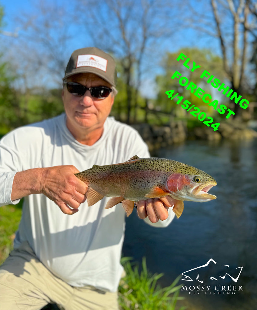 Gift Card  Mossy Creek Fly Fishing