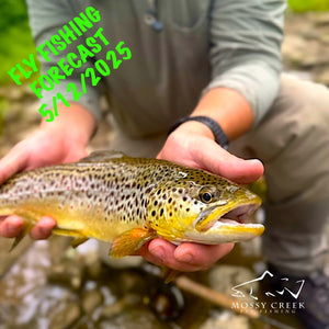 Mossy Creek Fly Fishing Forecast 5/12/2025