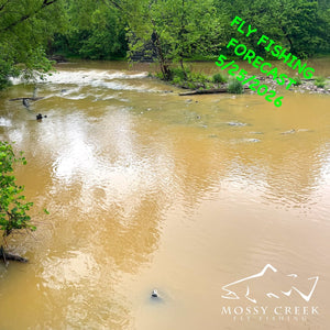 Mossy Creek Fly Fishing Forecast 5/25/2026