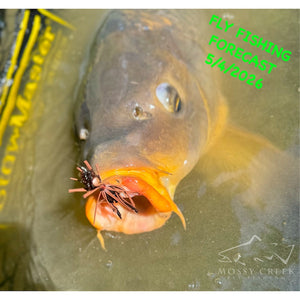 Mossy Creek Fly Fishing Forecast 5/4/2026