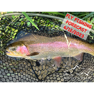 Mossy Creek Fly Fishing Forecast 6/12/2023
